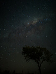 Milky Way in starry sky with tree and landscape below, timelapse sequence image 46-100
Night landscape in the mountains of Argentina - Córdoba - Condor Copina