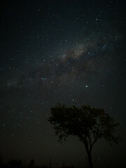 Milky Way in starry sky with tree and landscape below, timelapse sequence image 35-100
Night landscape in the mountains of Argentina - Córdoba - Condor Copina