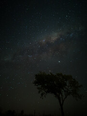 Fototapeta na wymiar Milky Way in starry sky with tree and landscape below, timelapse sequence image 23-100 Night landscape in the mountains of Argentina - Córdoba - Condor Copina