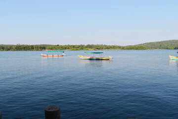 Boats in blue water with trees in background