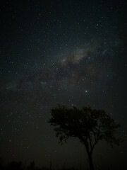 Milky Way in starry sky with tree and landscape below, timelapse sequence image 18-100
Night landscape in the mountains of Argentina - C&oacute;rdoba - Condor Copina