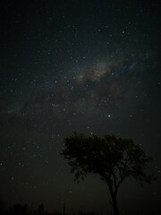 Fototapeta na wymiar Milky Way in starry sky with tree and landscape below, timelapse sequence image 16-100 Night landscape in the mountains of Argentina - Córdoba - Condor Copina