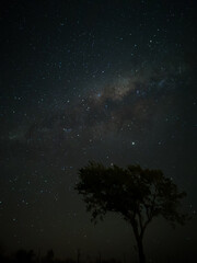 Fototapeta na wymiar Milky Way in starry sky with tree and landscape below, timelapse sequence image 12-100 Night landscape in the mountains of Argentina - Córdoba - Condor Copina