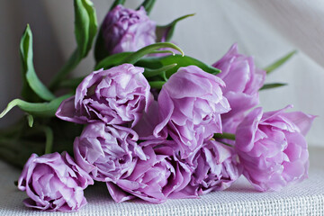 A beautiful bouquet of purple tulips is on the table