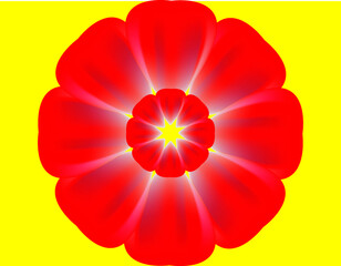 red dahlia flower isolated on white