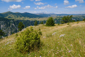 Picturesque summer mountain landscape of Tara Canyon in mountain Durmitor National Park, Montenegro, Europe, Balkans Dinaric Alps, UNESCO World Heritage.