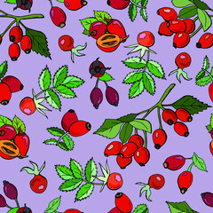Fruit seamless pattern with 
rose hip. Hand-drawn seamless print design for fabric or wallpaper. 