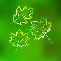 Abstract background of green leaves. Wallpaper.Eps10