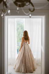 A girl in a golden dress stands near the window and looks at him.
