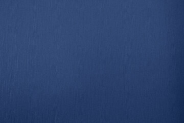 和紙_微細美_紺