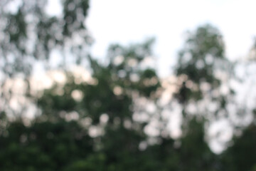 natural Background....