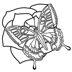 バラと蝶 アイコン