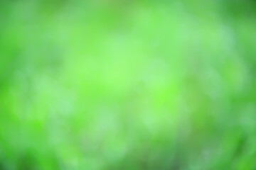 abstract green summer bokeh background, gradient view art texture glow