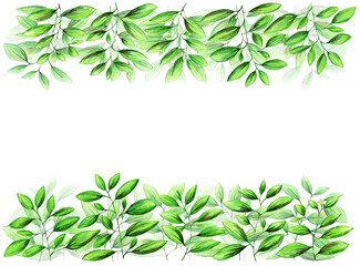 Fototapeta premium Luminosa plantilla de ramas de hojas verdes 