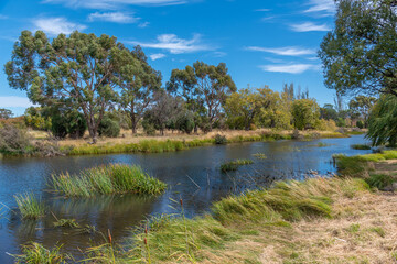 Elizabeth river passing through Tasmania, Australia