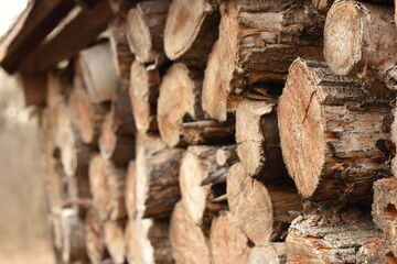 close up of a pile of firewood