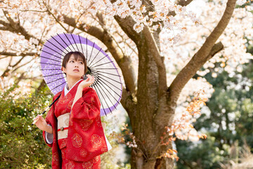着物姿の女性