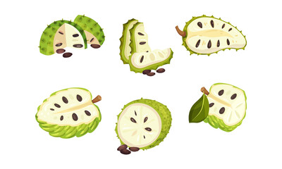 Soursop Fruit or Guanabana with Dark Green Rind Covered with Thick Thorns Vector Set