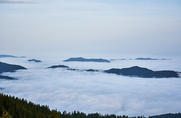 Obraz premium Sea of clouds. Landscape photo was taken from Sal Plateau, Kackar mountains, highlands of Black Sea / Karadeniz region of Turkey. 
