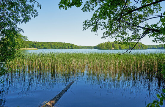 Der Liepnitzsee liegt im Wandlitzer Seengebiet etwa 8 km n&ouml;rdlich der Berliner Stadtgrenze
