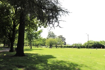 Le parc des Lilattes à Bourgoin, grand espace vert, ville de Bourgoin Jallieu, Département de l'Isère, France