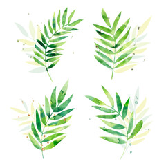 Watercolor textured leaves.  Elegant plants for design