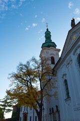 Yellow autumn tree near the Strahov Monastery in Prague.