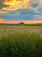 sunset over the field
