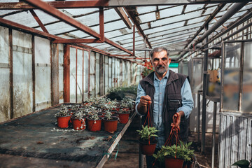 man working in flower nursery. small family business concept