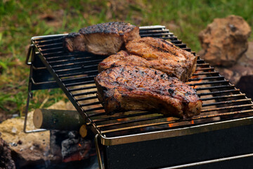Portable wood-fried folding camping grill with .fried meat. Camping grill, smoke, bonfire, picnic