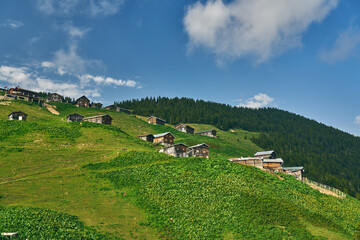 Landscape photo of Pokut Plateau with traditional wooden houses. Taken in summer at northeastern Black Sea region of Turkey