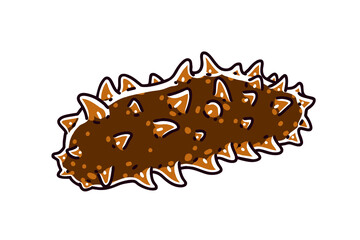 Sea cucumber. Sea cucumbers are echinoderms from the class Holothuroidea. It is considered an expensive food in Asia. Vector illustration.