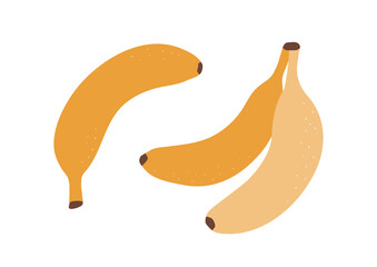 Cute hand drawn bananas isolated on white background. Vector tropical fruits for decoration design. Simple vegetarian healthy food illustration. Healthy fresh nutrition. Banana icon