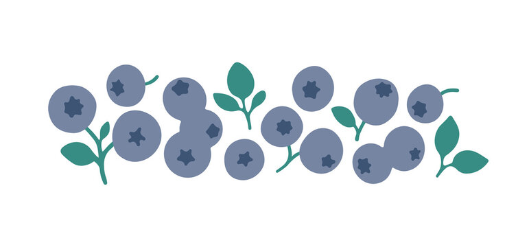 Cute hand drawn blueberries with leaves isolated on white background. Vector berries for decoration design. Simple vegetarian healthy food set. Healthy fresh nutrition. Fresh juicy blueberry