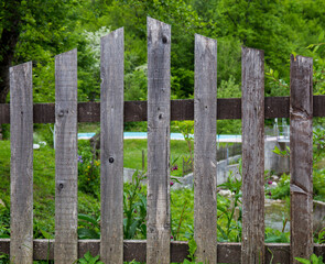 Fence from the house. Guarding the property. In the background greenery, grass and meadows