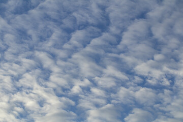 Deep blue sky and white cloud background.Altocumulus soft white clouds against blue sky.