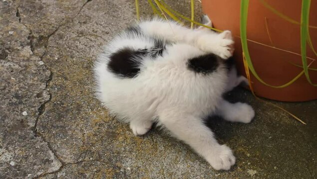 Dos hermanitos jugando 