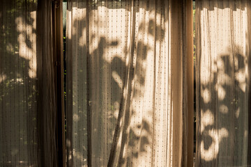 The reflection of the shadow of a tree on the curtains of a window. Seen from the inside.