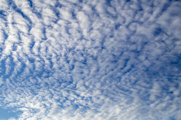 Blue sky and white cloud background.Altocumulus soft white clouds against blue sky.