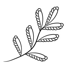 Botanical vector illustration of single herbal element. Ink drawing in Doodle style. Isolated object on a white background. Decorative element for spring and summer design, wedding, vignettes.