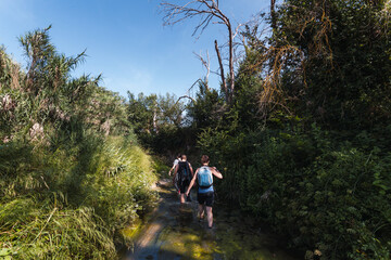 Small group of young tourists walking inside a river with little flow inside a forest in Spain in spring. Selective focus.