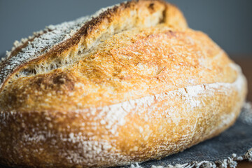 Sourdough artisan bread loaf of traditional Homemade rye starter