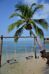 tropical beach with palm trees