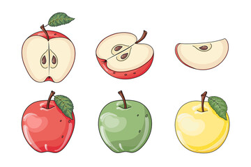 Set of hand drawn vector whole, half, quarter and cut fresh apple fruits isolated on white background. Graphic elements for package, label, wrapping paper, cards, print, banner, advertising.