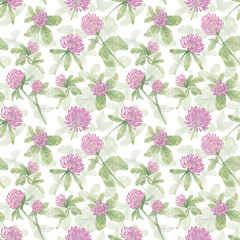 Light hand-drawn watercolor seamless pattern. Summer background with clover leaves, flowers and petals. Botanical illustration for design, wrapping paper, fabric, prints, postcards and other purposes.