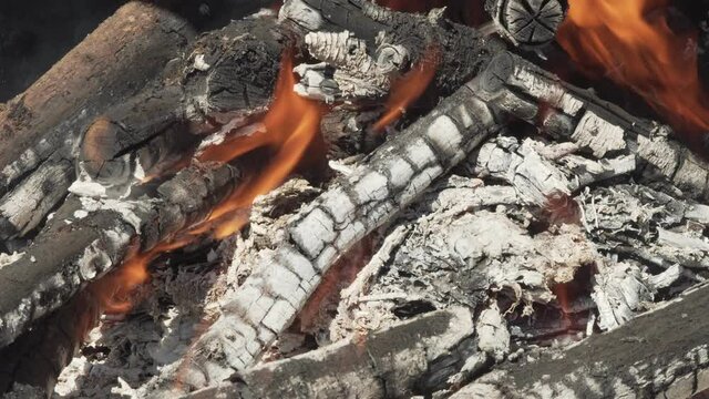 Burning charcoal and wood logs ready to make a barbecue grill on outdoor. Real time, sunny day