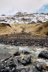 Mountain river at the foot of the mountain with a snow-capped peak. Yellow dry grass on the mountains in May in Iceland.