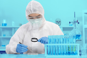 Male Scientist in PPE Suit working in Lab while Using Magnifying glass Checking Sample in Sampling Plate. Blue Tone.