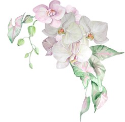 Watercolor floral bouquet in a trendy modern style. Orchid flowers, tropical leaves, palm leaves. Bohemian illustration for wedding invitations, mathers day, posters, branding.