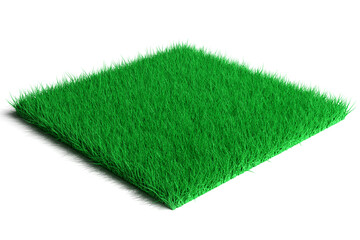 3D rendering. grass field isolated on white background.